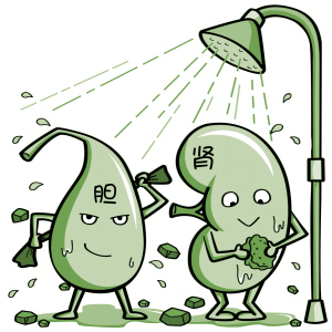 結(jié)石病