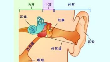 傳導(dǎo)性耳聾